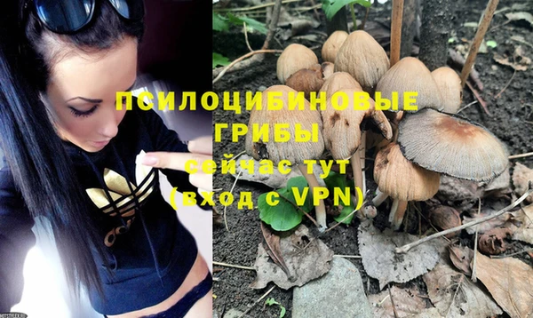 дистиллят марихуана Бородино