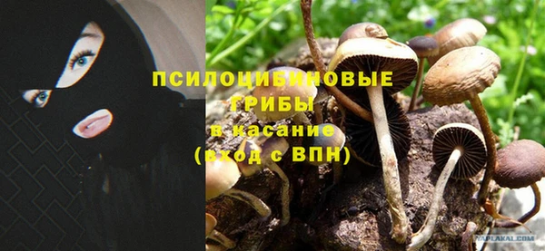 дистиллят марихуана Бородино