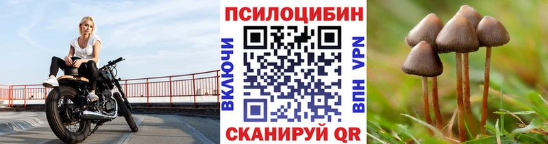 blacksprut ТОР  Семёнов  Псилоцибиновые грибы прущие грибы 